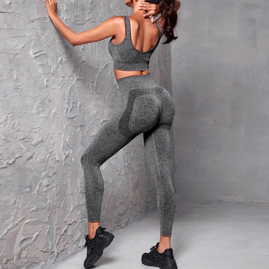 Women Two Piece Seamless Yoga Outfits Crop Tank Top Butt Lifting Leggings Workout Sets